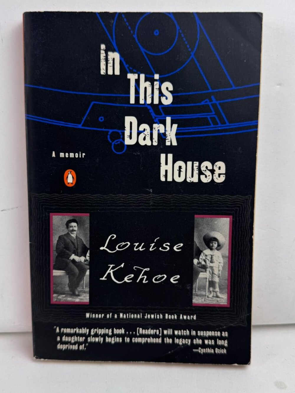 In This Dark House Louise Kehoe Memoir Berthold Lubetkin Penguin Book Paperback